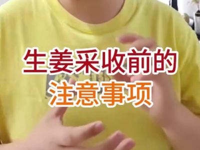 生姜采收前的注意事项 ()