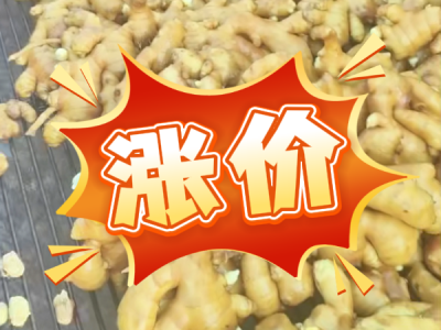 9月11日 生姜价格行情（涨价） ()