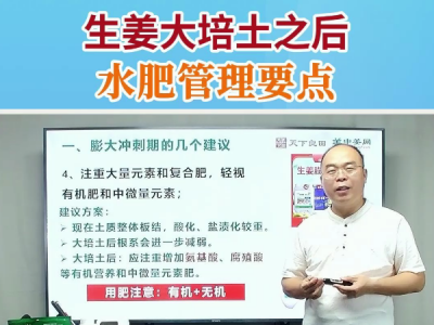 生姜大培土之后水肥管理要点 ()