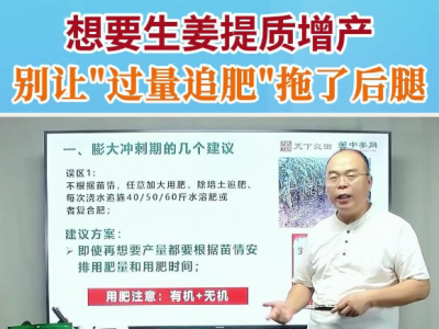 想要生姜提质增产别让过量追肥拖了后腿 ()
