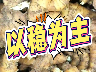 9月15日 安丘黑埠子（以稳为主） ()