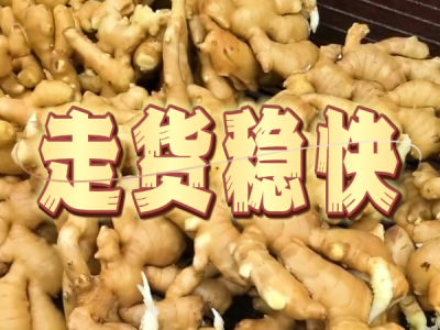 9月17日 生姜价格行情（走货稳快） ()