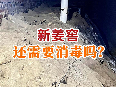新姜窖还需要消毒吗？ ()