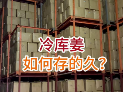 冷库姜如何存的久？ ()