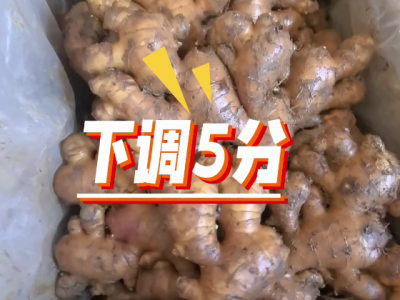 9月19日广州江南批发市场价格行情 ()