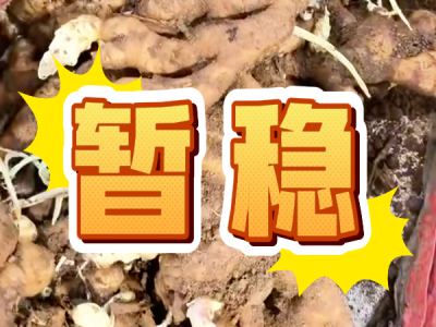 9月19日 安丘黑埠子（暂稳） ()