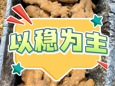 9月22日 安丘黑埠子（以稳为主） ()