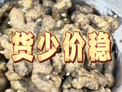 9月23日 安丘黑埠子（货少价稳） ()