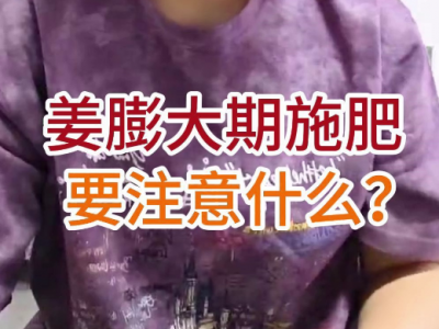 姜膨大期施肥要注意什么？ ()