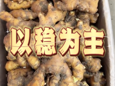 9月29日 安丘黑埠子（以稳为主） ()