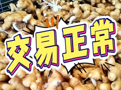 9月29日 生姜价格行情（交易正常） ()