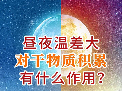 昼夜温差大对干物质积累有什么作用？ ()