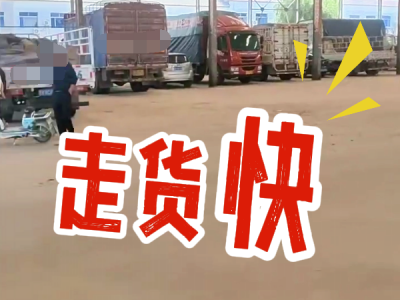 9月30日 安丘黑埠子（走货快） ()