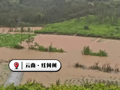 “博罗依”来袭，云南部分姜田受淹！ ()