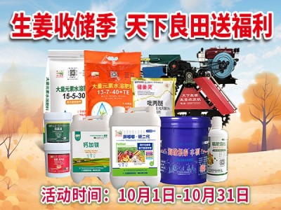 生姜收储季 天下良田送福利 ()