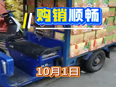 10月1日批发市场生姜行情：购销顺畅 ()