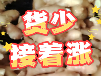 10月3日 生姜价格行情（货少 接着涨） ()