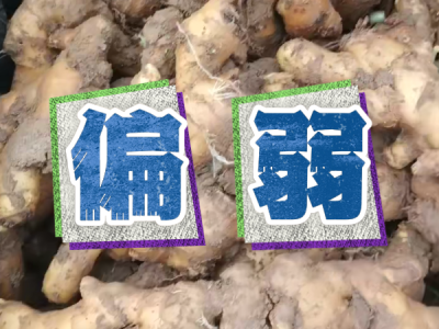 10月4日 安丘黑埠子（偏弱） ()