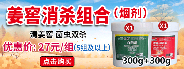 姜窖消杀组合（烟剂）