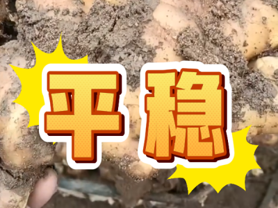 10月8日 安丘黑埠子（平稳） ()