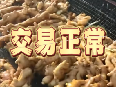 10月8日 生姜价格行情（交易正常） ()