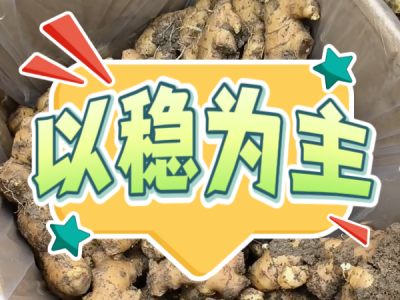 10月9日 安丘黑埠子（以稳为主） ()