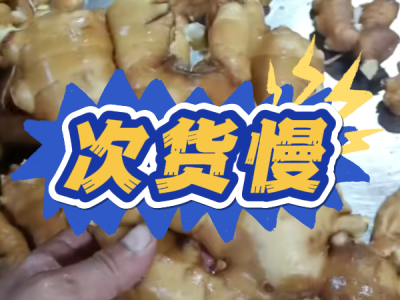 10月9日 生姜价格行情（次货慢） ()