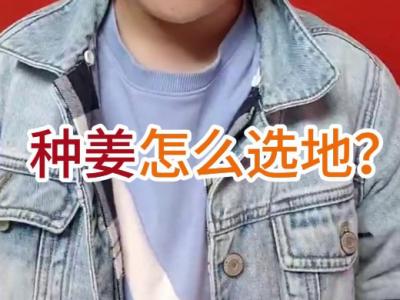 种姜怎么选地？ ()