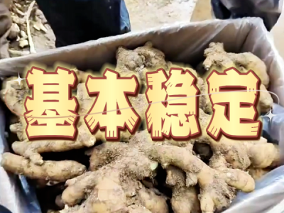 10月10日 安丘黑埠子（基本稳定） ()