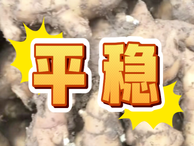 10月11日 安丘黑埠子（平稳） ()