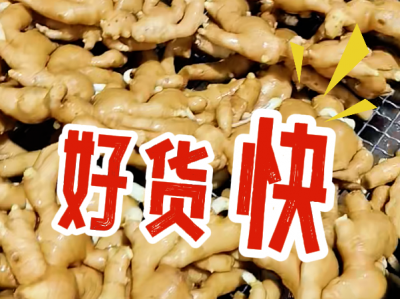 10月11日 生姜价格行情（好货快） ()