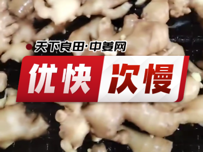 10月14日 生姜价格行情（优快次慢） ()