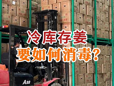 冷库存姜要如何消毒？ ()