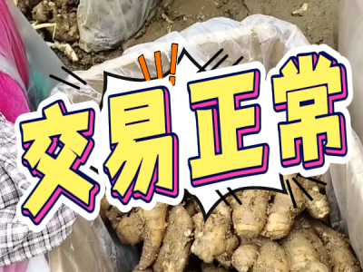 10月15日 安丘黑埠子（交易正常） ()