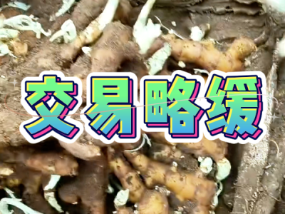 10月16日 安丘黑埠子（交易略缓） ()