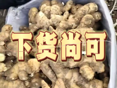 10月17日 安丘黑埠子（下货尚可） ()