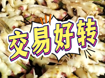 10月17日 生姜价格行情（交易好转） ()