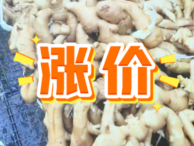 10月18日 生姜价格行情（涨价） ()