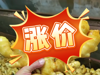 10月21日 生姜价格行情（涨价） ()