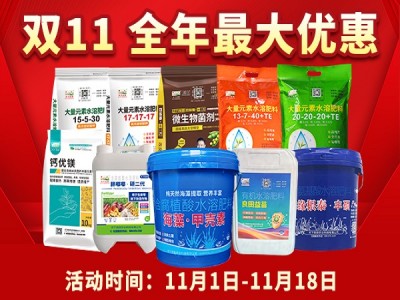 好消息，双11马上到啦！！ ()