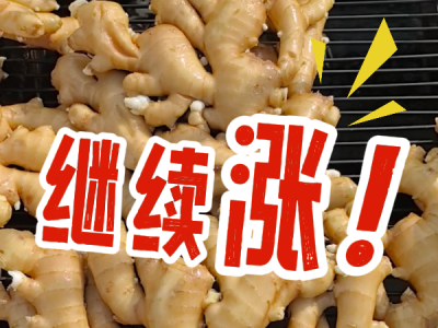 10月22日 生姜价格行情（继续涨!） ()