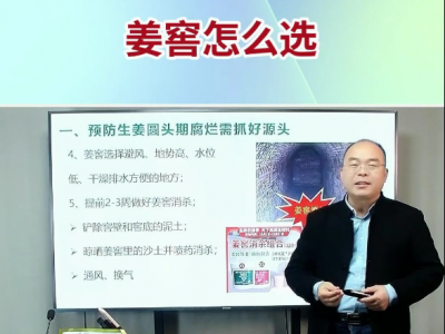 姜窖怎么选？ ()