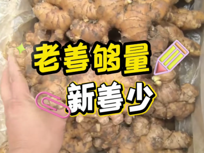 10月25日广州江南批发市场价格行情 ()