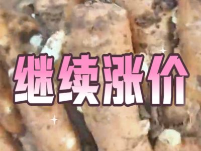 10月23日 安丘黑埠子（继续涨价） ()