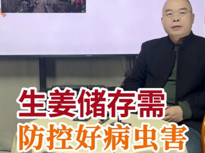 生姜储存需防控好病虫害 ()