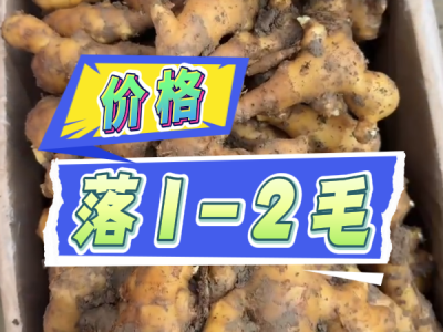 10月25日 安丘黑埠子（价格落1-2毛） ()