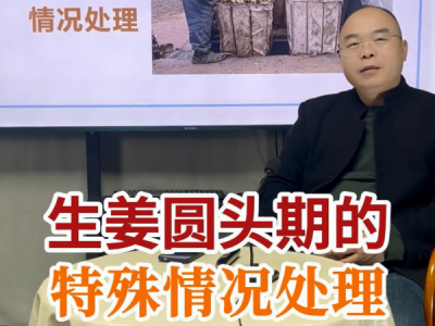 生姜圆头期的特殊情况处理 ()