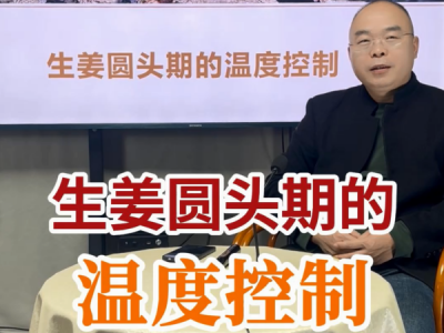 生姜圆头期的温度控制 ()