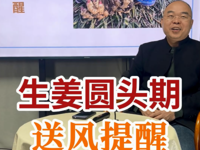 生姜圆头期送风提醒 ()