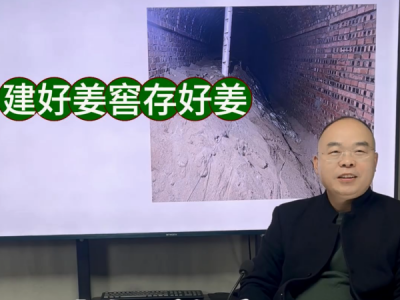 建好姜窖存好姜 ()